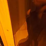Karola * קולפינזה