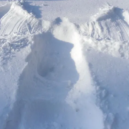 Karola 펜션 쾰핀제