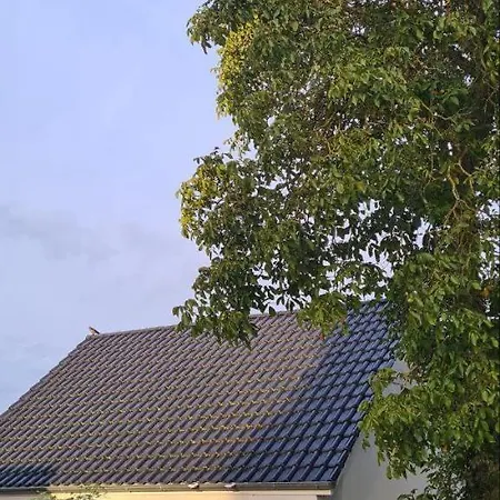 Karola 펜션 쾰핀제